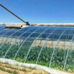 Multi-functional and durable Po Membrane Multi-functional and durable Po Membrane